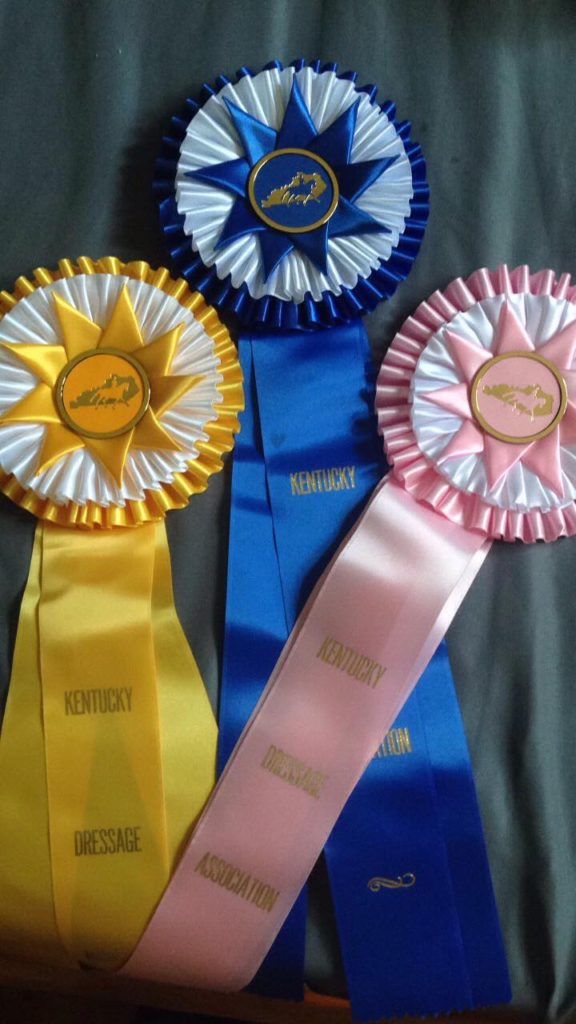 My First Official USDF Recognized Show Solstice Sporthorses